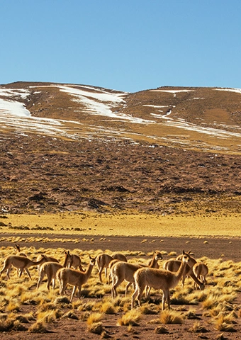Atacama png v5